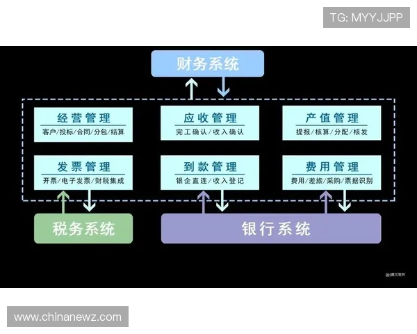 三公经费的管理经验与案例分析，借鉴国内外成功做法优化我国政府财务管理